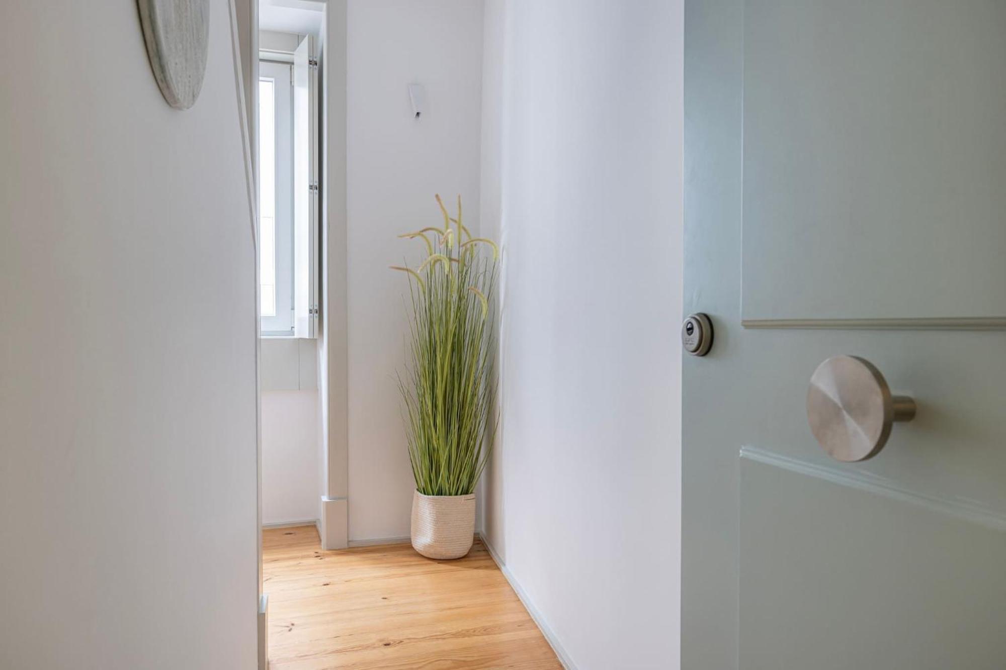 Condessa IV By Innkeeper Lisboa Extérieur photo